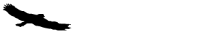 Фирма Авиатрон
